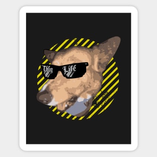 Thug Life Corgi Sticker